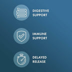 Dr. Mercola Biothin Probiotic - Digestive Health Supplement - Supports Healthy Metabolism - GMO-Free, Gluten-Free & Soy-Free - 90 Delayed-Release Capsules (90 Servings)
