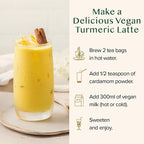 VAHDAM Organic Turmeric Ginger Herbal Tea Bags (100 Pyramid Tea Bags) Caffeine Free, Non GMO | 100% Pure Herbal Blend - Savory & Spicy, Plant-Based Teabags | Resealable Ziplock Pouch