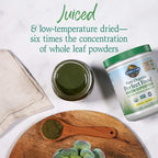 Garden of Life Raw Organic Perfect Food Green Superfood Juiced Greens Powder - Original Stevia-Free,30 Servings,Non-GMO,Gluten Free Whole Food Dietary Supplement,Alkalize,Detoxify,Energize,(Pack of 2)