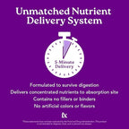 Isotonix OPC-3 Antioxidant Supplement - Pycnogenol, Grape Seed Extracts, Bilberry, Red Wine & Pine Bark Extracts - for Heart & Circulatory Support - Isotonic, Vegan, Gluten Free - 30 Servings