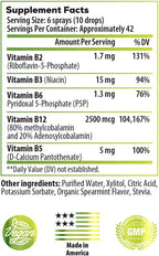 Ideal Infusion B-Bomb Vitamin B12 + B Complex Liquid Spray: Methylcobalamin with Adenosylcobalamin: Energy & Mood Support, Sugar-Free, Vegan, Organic Spearmint Flavor