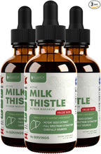 Rejuvica Health Active Milk Thistle 4oz XL Super Size - Advanced Milk Thistle Seed Liquid Extract Drops - May Support The Liver - Vegan Sugar Free Non GMO Tincture 3 Pack