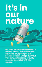 VEGETOLOGY Vegan Omega 3 Supplement – EPA, DHA Supplements & Vitamin D3 – Algae Omega 3 Vegan Supplements for Brain, Eye & Heart Health – for Kids & Adults (180 Capsules)