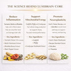 LumiBrain™ CORE Brain Supplement for Memory and Focus, Caffeine-Free Nootropic for Brain Energy, 90 Capsules