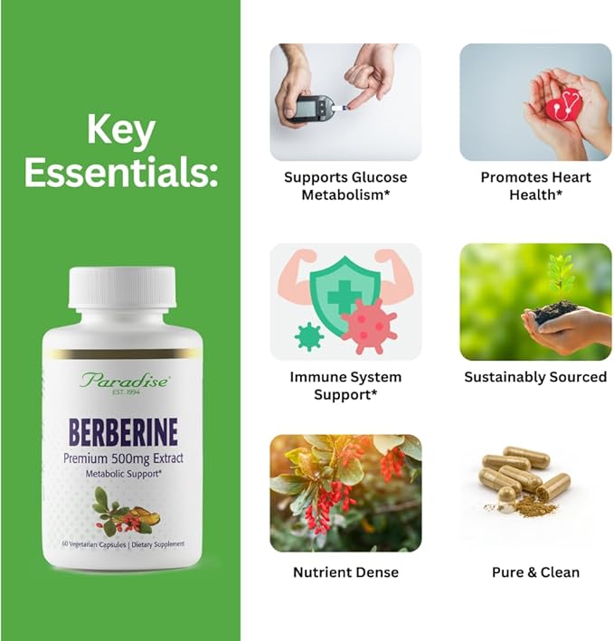 Paradise Herbs, Berberine Extract, 500 mg, Pure & Potent Berberine Supplement, Vegan, Non-GMO, Gluten Free, 60 Vegetarian Capsules (Pack of 2)