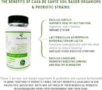 Casa de Sante Advanced Probiotic & Prebiotic - GLP-1 Support for Sensitive Stomachs | Low FODMAP Gut Friendly Synbiotic 4.4B CFU PreforPro Technology - 60 Delayed Release Capsules
