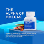 OmegaXL Joint Support Supplement, for Relief - Natural Muscle Support, Green Lipped Mussel Oil, Soft Gel Pills, Drug-Free, 60 Count