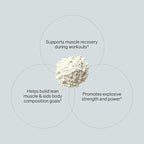 ONNIT Creatine Monohydrate Powder – Unflavored, 90-Serving Value Size – Supports Strength, Lean Muscle, and Brain Energy† – Keto Friendly, No Fillers, 90 Servings, 15.29 oz