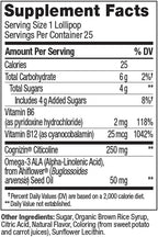 OLLY Focus Buddies L’OLLY Pops, Cognizin, Vitamins B6 and B12, Omega-3 ALA, Supports Focused Attention and Healthy Brain Function,* Kids 4+ Dietary Supplement, Watermelon Strawberry Flavored, 25 Count
