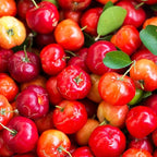 Pure Original Ingredients Acerola Cherry, (100 Capsules) Always Pure, No Additives Or Fillers