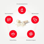 MyReuteri™ 10 Billion CFU Probiotic – Foundational-Strength L. reuteri LRDR™ + FOS Prebiotic – by Dr. William Davis – Makes Yogurt-Like Superfood – 30 Veg Capsules