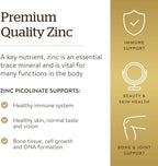 Solgar Zinc Picolinate 22 mg, 100 Tablets - Promotes Healthy Skin - Supports Immune System, Normal Taste & Vision - Antioxidant – Non-GMO, Vegan, Gluten Free, Kosher - 100 Servings