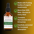Morning Routine Mushroom Tincture, High Potency, Double Extracted, 60 Daily Doses, Lion's Mane and Cordyceps