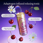 BRĒZ Dream Reishi Mushroom Drink, Non-Infused Relaxing Tonic with Reishi, Chamomile, Tart Cherry, Magnesium & L-Theanine, Vegan Adaptogen Drink for Sleep, Calm & Mood, 12 fl oz - 48 Pack