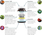 Holistic Health Labs Vision Alive Max with 8 Natural Ingredients Lutemax® 2020, Bilberries, Blueberries, c3g from Black Currant, Maqui Berry, Saffron, and Astaxanthin (30 Count (Pack of 1))