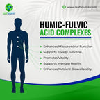 LEAFSOURCE Humic Fulvic Acid Liquid 2oz Trace Minerals with Electrolytes Collagen Vitamins Superior Humic to Fulvic Ratio More Energy Gut Health Joint Health Immune Support Hydration 180 serv