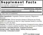 Nutri Fisetin 500mg 60 Count - Clinical Dosage - Fisetin Supplements - Powerful Senolytic Activator, Antioxidant, Heart & Brain Support - Natural Polyphenols - Capsules - 3rd Party Tested for Purity