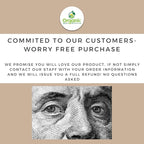 Organic Turmeric Powder w/Curcumin | 16oz or 454g | USDA Organics and Non-GMO | 100% Raw and Natural by OSR
