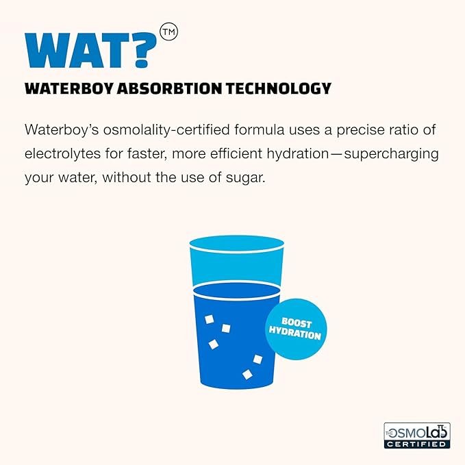 Waterboy Weekend Recovery Sample Pack | 3,200mg Electrolyte Powder Packets | Ginger + L-Theanine + Vitamins | No Sugar, All Natural, Gluten Free | 12 Drink Stick Mixes (Sample Pack)