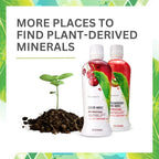 Youngevity Plant Derived Liquid Minerals - 77+ Natural Unaltered Trace Minerals - 19,000mg Plant Mineral Solids - Colloidal Form Humic Shale - (32 oz Pack of 4)