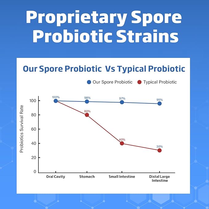 Spore Probiotic, 90 Capsules - Bacillus Subtilis Spore Based Probiotic for Women & Men, 20 Billion CFU Probiotics for Digestive Health, Daily Gut Health & Immune Support, Vegan & Shelf Stable