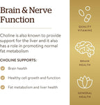 Solgar Choline 350 mg, 100 Vegetable Capsules - Supports Healthy Brain & Cellular Function - Vegan, Gluten Free, Dairy Free, Kosher - 100 Servings,(Pack of 2)