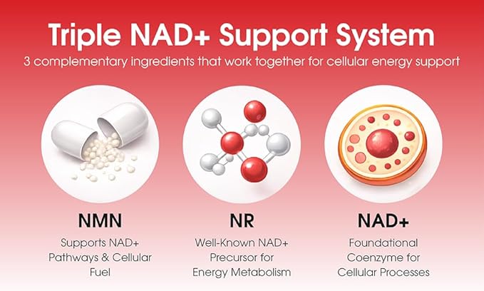 1LifeScience Cardiovascular Support Supplement – NMN, Resveratrol, Quercetin, Fisetin & Apigenin – NAD+ Support Formula – cGMP Made in USA – 60 Veg Caps