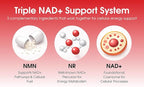 1LifeScience Cardiovascular Support Supplement – NMN, Resveratrol, Quercetin, Fisetin & Apigenin – NAD+ Support Formula – cGMP Made in USA – 60 Veg Caps