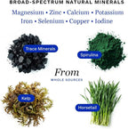 Professional Botanicals Mineral Complex - Trace Minerals, Kelp, Spirulina Nutrient Blend - 90 Vegetarian Capsules