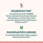NEURIVA Original Brain Supplement for Memory, Focus & Concentration + Learning & Accuracy with Clinically Tested Nootropics Phosphatidylserine and Neurofactor, Caffeine Free, 30ct Capsules (3 Pack)