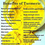 Fresh Yellow Turmeric Root - 2 Lbs