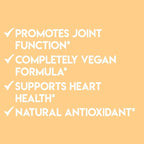 Vegan Turmeric Curcumin with Black Pepper Extract (60 Veggie Capsules-2 Month Supply), 95% Curcuminoids - All Natural Powerful Antioxidant for Joint Support and Relief (1-Bottle)