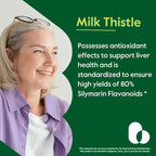 BESTVITE Milk Thistle 300mg (240 Vegetarian Capsules) - Standardized to 80% Silymarin Flavonoids - No Stearates - Vegan - Non GMO - Gluten Free