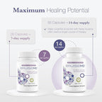 Bromelain 500mg 2,400GDU/g Supplement with Zinc and Vitamin C for Swelling, Inflammation, and Discoloration, Easy to Swallow Capsules (14-Day Supply) - Advanced Formula
