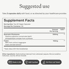 OMRE Quercetin and Fisetin Supplements - Third-Party Tested Senolytic Supplements for Aging Support - 500mg Quercetin Phytosome and 100mg Fisetin - Highly Bioavailable Forms