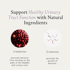 NeuEve Urinary Support Cranberry and D Mannose Supplements for Urinary Health Defense, All-Natural Ingredients | 90 Vegan Capsules