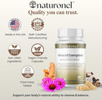Viracid Complete (3 Pack) Comprehensive Immune Formula with Elderberry, Echinacea, Garlic, Zinc, L-Glutamine & Turmeric 95% Curcuminoids | Premium Supplement, Made in USA, GMP Certified