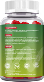 Migcopat Pre Post Probiotics Gummies, Probiotic Prebiotic Postbiotic Digestive Enzymes with Fiber, 120 Billion CFU Probiotics - Digestive Health, Sugar Free, Vegan, Watermelon, 60 Gummies