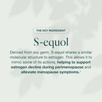 EQUELLE Multi-Symptom Perimenopause & Menopause Relief Relief from Hot Flashes, Muscle Aches & Supports More Sleep. Hormone-Free, Plant-Based S-Equol – 2 Month Supply (120 Tablets)