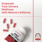 JUNG KWAN JANG Urinary Tract Comfort Formula with Pacran Cranberry 500mg, American Ginseng 143mg - Urinary Tract Health Support Supplement - 60 Capsules for Women and Men
