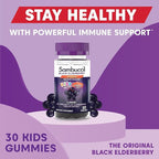 Sambucol Black Elderberry Gummies for Kids - Elderberry Gummies with Zinc and Vitamin C, Chewable Supplement for Kids, Low Sugar, Berry Flavor - 30 Count