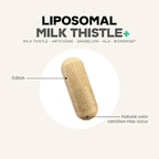 Codeage Liposomal Milk Thistle+ Supplement - Silymarin from Silybum Marianum, NAC, Artichoke Leaf, Dandelion Root, Alpha Lipoic Acid, BioPerine, Liposomal Delivery - Non-GMO - 60 Capsules
