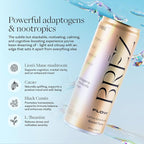 BRĒZ FLOW Lion’s Mane Mushroom Drink 24 Pack, Lemon Elderflower, Supports Mood & Focus, Non-Alcoholic Sparkling Adaptogen Drink, Functional Mushrooms, Feel Clear, Calm & Refreshed- 12 Fl oz Cans