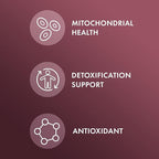 Dr. Mercola NAC with Milk Thistle - with Antioxidants - Supports Normal Detoxification Processes - 500 mg N-Acetyl-Cysteine per Serving - Non-GMO, Gluten-Free & Soy Free - 60 Capsules (30 Servings)