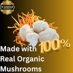 Morning Routine Mushroom Tincture, High Potency, Double Extracted, 60 Daily Doses, Lion's Mane and Cordyceps