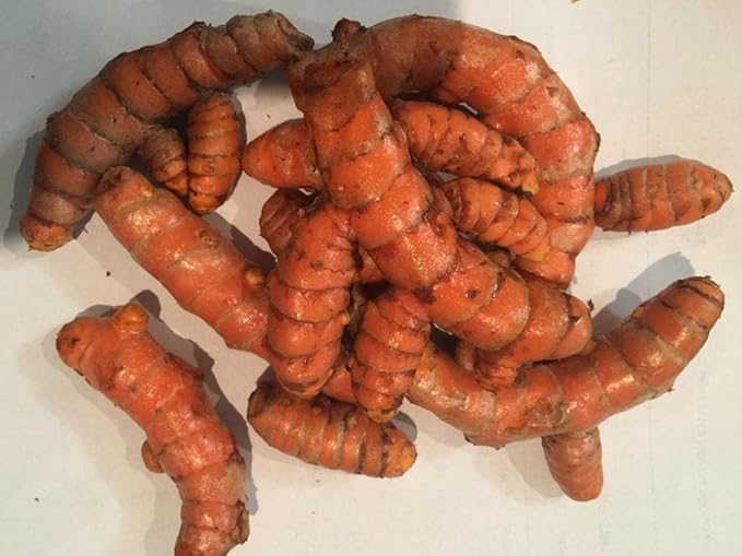 Fresh Organic Turmeric Root - 5 Lbs Whole Raw Root