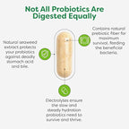 Probulin Total Care Pre + Pro + Postbiotic, 20 Billion CFU, 60 Vegan Capsules (Pack of 3)