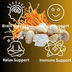 Morning Routine Mushroom Tincture, High Potency, Double Extracted, 60 Daily Doses, Lion's Mane and Cordyceps