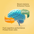 Brain Supplement for Memory and Focus, Nootropic for Adults, Fuel Brain Energy & Mental Clarity, Caffeine Free,Cognitive Support, Doctor-Formulated, Made in USA,cGMP,120 Caps