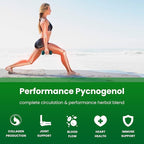 NutraChamps Pycnogenol French Maritime Pine Bark Extract, Premium Circulation Complex, Blood Flow, Nitric Oxide Production, Superior Absorption, Results with Black Pepper Extract, 60 Capsules